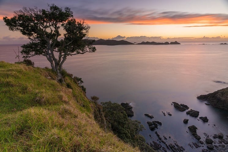 Matauri Bay