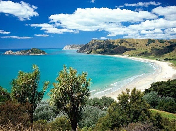 Top 5 Beaches for a Campervan Holiday in New Zealand