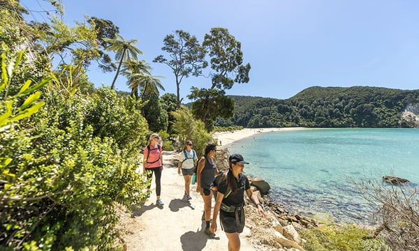 Explore NZ's Best Hikes — A Guide for Campervan Holidays