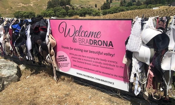 March Quirks: The Bra Fence