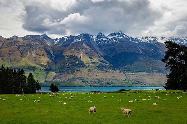 Taking your Time to Travel New Zealand by Motorhome