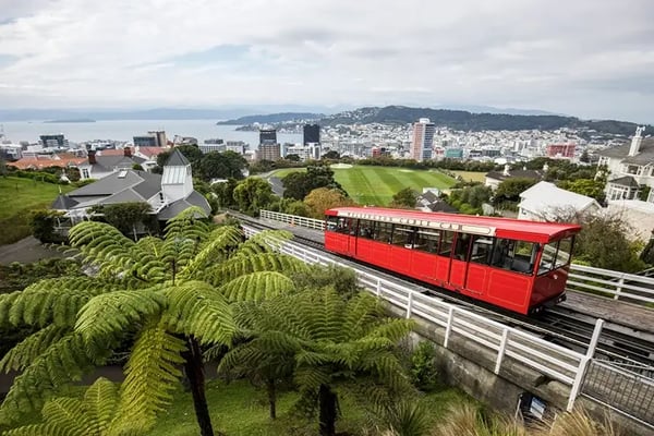 Wellington Motorhome Holiday Guide