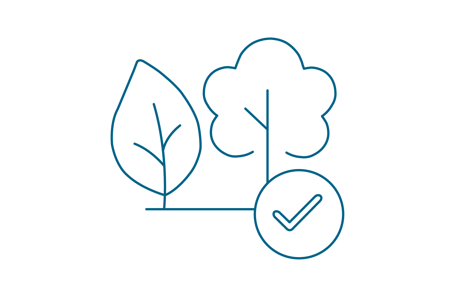 Sustainability Promise